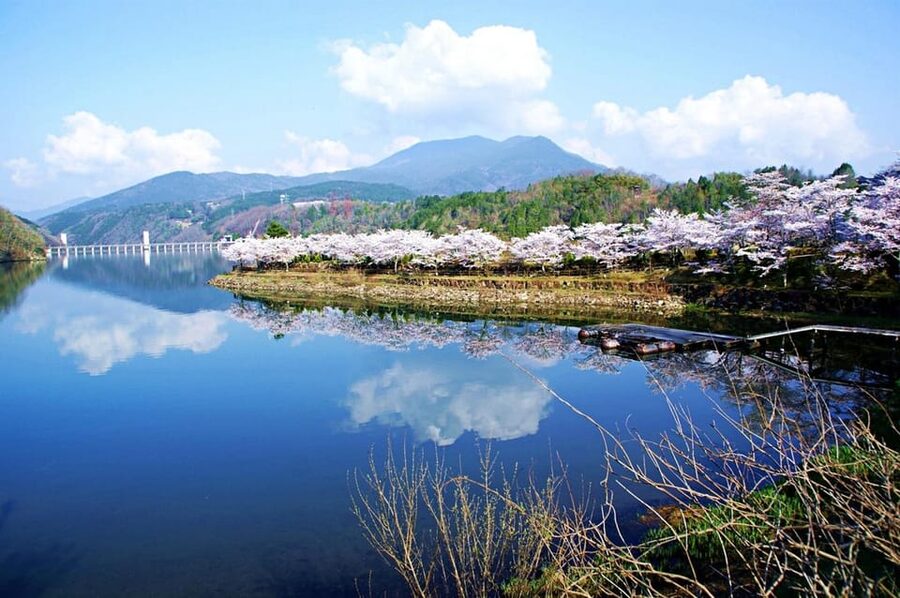 Magome-juku, Tsumago-juku & Ena-kyo 1d Bus Tour from Nagoya - Enakyo Observatory: quick panoramic views of the Ena Gorge