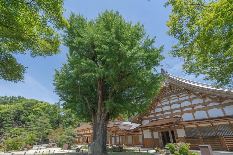Magome-juku, Tsumago-juku & Ena-kyo 1d Bus Tour from Nagoya - What you’re really paying for: value from organization and language help