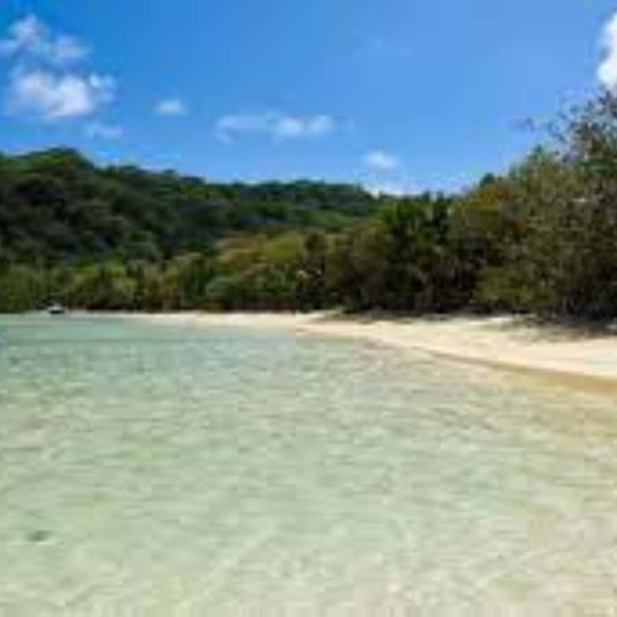 Mahe Discovery Bus Tour - Key takeaways before you go