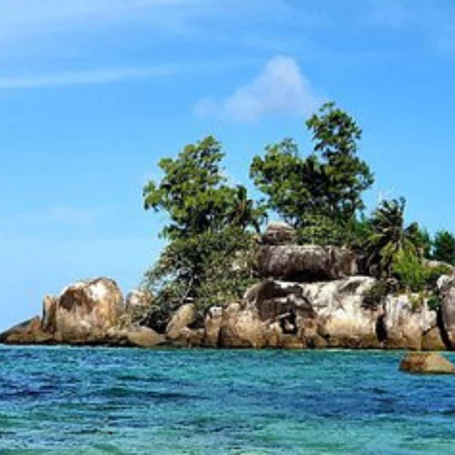 Mahe Discovery Bus Tour - Anse Royale for Clear-Water Swims and Snorkel-Friendly Conditions