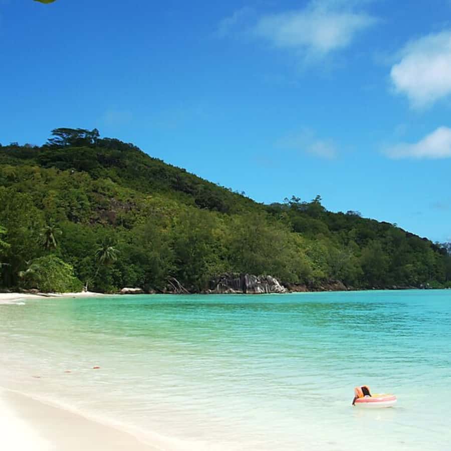 Mahe Discovery Bus Tour - Anse Intendance: Coastal Variety Without a Full-Day Commitment