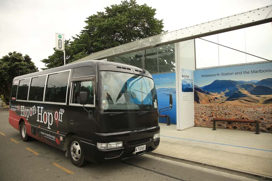 Marlborough: Hop-On Hop-Off Wine, Brewery, and Wonders Tour - Marlborough in One Day: How the Hop-On Hop-Off Format Works