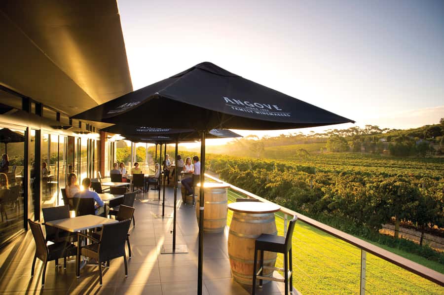 McLaren Vale North: Hop-On Hop-Off Tour - McLaren Vale North in 5 to 8 hours: the hop-on formula that actually fits