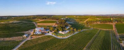 McLaren Vale North: Hop-On Hop-Off Tour - Price and value: what you’re really paying for at $70