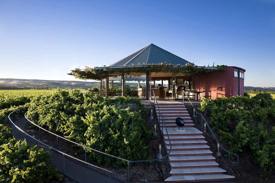 McLaren Vale North: Hop-On Hop-Off Tour - What the bus day feels like: timing, comfort, and pacing