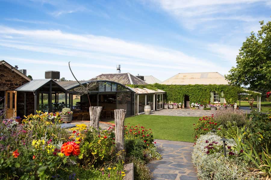 McLaren Vale North: Hop-On Hop-Off Tour - Food breaks that don’t feel like an afterthought