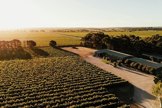 McLaren Vale South Hop-On Hop-Off Winery Tour - Why McLaren Vale South is perfect for a bus-you-drive-the-day tour
