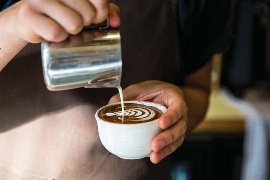 Melbourne: City Highlights, Suburbs & Laneways Bus Tour - Laneways and coffee in Fitzroy: the local texture you want