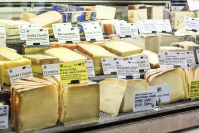 Melbourne: City Highlights, Suburbs & Laneways Bus Tour - Why this bus tour works when walking tours can’t reach