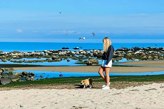 Melbourne Great Ocean Road Reverse Tour + London Bridge wildlife - Twelve Apostles: Classic Limestone Stacks Without the Planning Headache (45 Minutes)