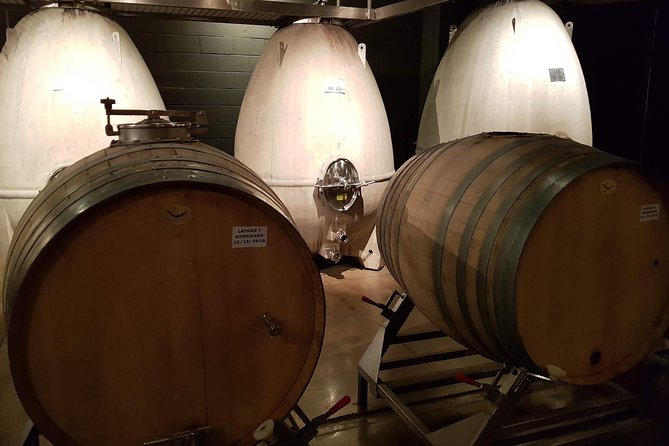 Mendoza Hop-On Hop-Off Wine Tour - Mendoza Wine Country, Without the Car Stress
