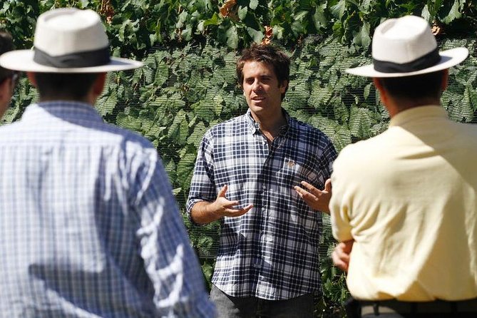Mendoza Hop-On Hop-Off Wine Tour - Hop-On Hop-Off: What Flexibility Actually Means Here