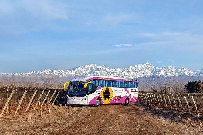 Mendoza Hop-On Hop-Off Wine Tour - Maipú and Olivos: Camino del Vino y Olivos de Maipú