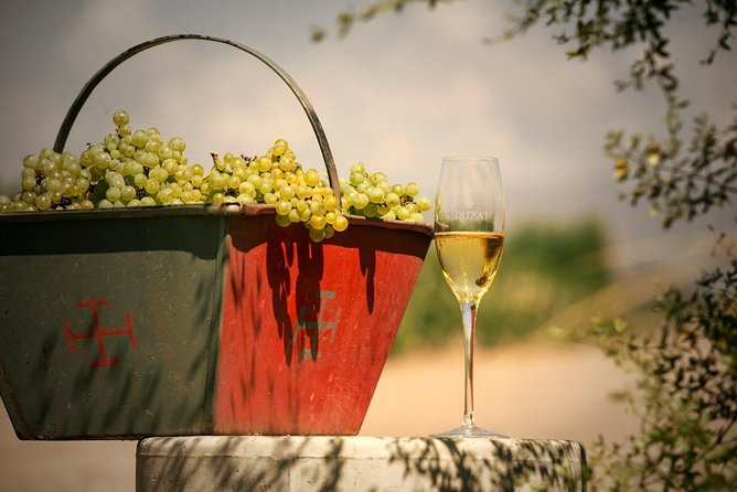Mendoza Hop-On Hop-Off Wine Tour - Luján de Cuyo: Malbec and Big-Name Cellar Energy