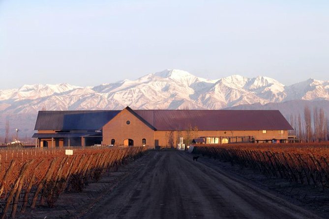 Mendoza Hop-On Hop-Off Wine Tour - Getting the Most From Your Hop-Off Stops