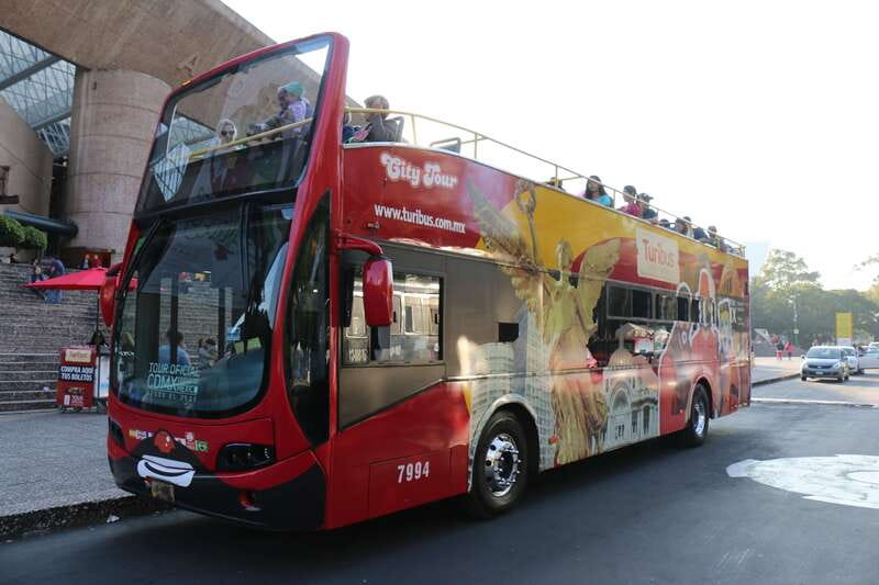 Mexico City: Hop-on Hop-off Bus Tour - South Route and Coyoacán Energy: Markets, UNAM Area Stops, and Frida Kahlo