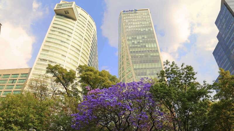 Mexico City: Hop-on Hop-off City Tour by Turibus 1-Day Pass - Polanco Circuit: Museums, Fine Dining, and the Upscale Side