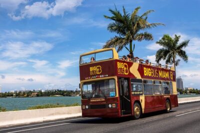 Miami Best Of Combo: Everglades, Bay Cruise, & Open-top Bus Tour - Everglades Airboat Ride From Soundscape Park or Bayside Marketplace