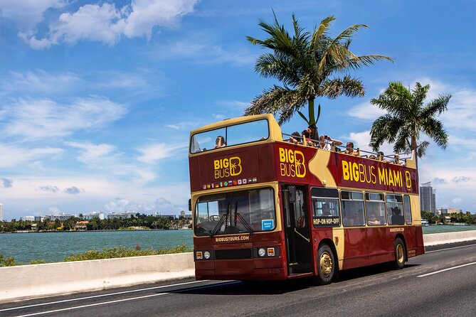 Miami Best Of Combo: Everglades, Bay Cruise, & Open-top Bus Tour - Everglades Airboat Ride From Soundscape Park or Bayside Marketplace