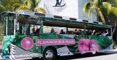 Miami Bus Tour Flamingo Open Air Trolley Bus Tours City Tour - Getting on board: where to meet and how to show up ready