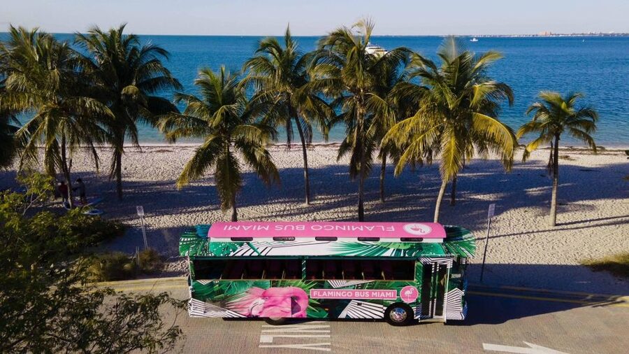 Miami Bus Tour Flamingo Open Air Trolley Bus Tours City Tour - Who should book this tour (and who might skip it)