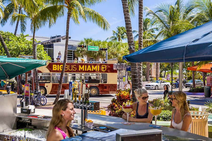 Miami: Everglades Experience, Bay Cruise & Open-top Bus Tour - Key Points to Know Before You Go