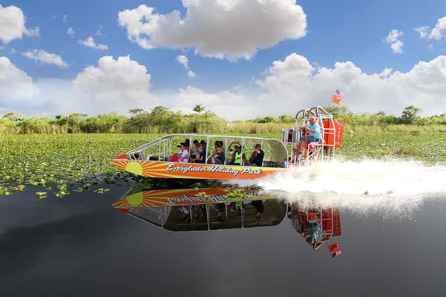 Miami: Everglades Experience, Bay Cruise & Open-top Bus Tour - Should You Book This Miami: Everglades + Bus + Bay Cruise Ticket?