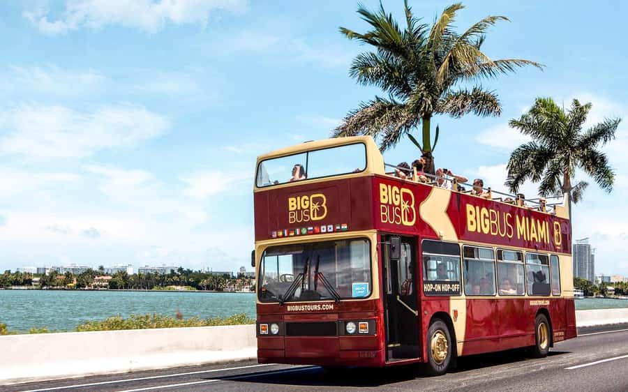 Miami: Hop-on Hop-off Sightseeing Tour with Optional Cruise - Key takeaways before you board