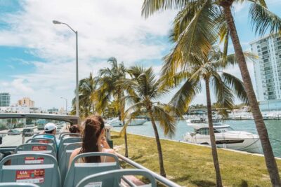 Miami: Hop-on Hop-off Sightseeing Tour with Optional Cruise - Meeting at 333 Biscayne Blvd and using the Big Bus app