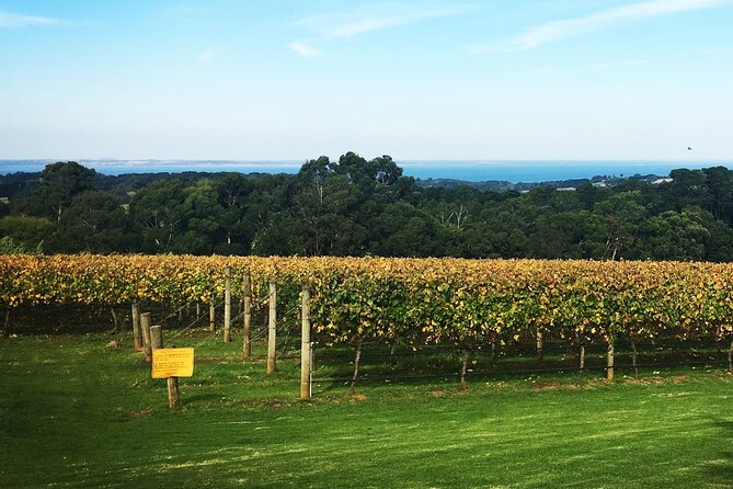 Mornington Peninsula Winery Bus Tour including lunch with a glass of wine - Stop 3: Pier 10 lunch—two courses and a glass of wine