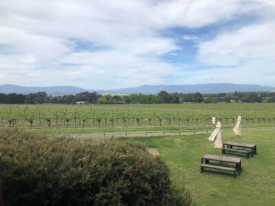 Mornington Peninsula Winery Bus Tour with Lunch & Wine - Pickup From Melbourne CBD and Getting Settled on the Van