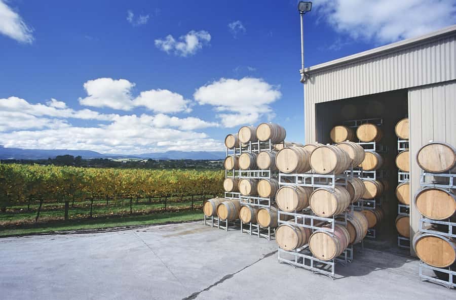Mornington Peninsula Winery Bus Tour with Lunch & Wine - Price and Value: Is $138 Fair for 4 Tastings Plus Lunch?