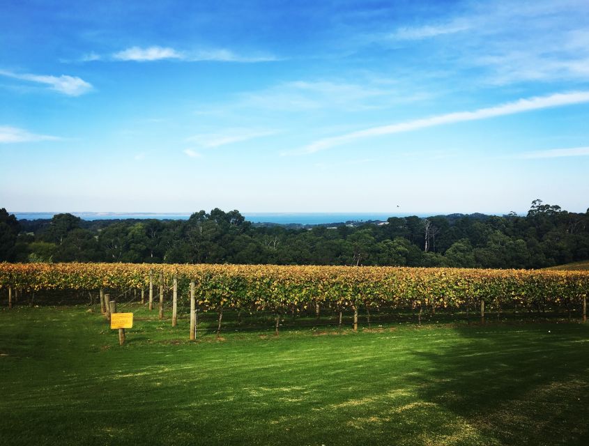 Mornington Peninsula Winery Bus Tour with Lunch & Wine - Quick Planning Tips Before You Go