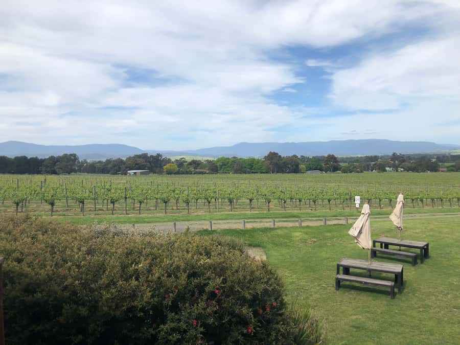 Mornington Peninsula Winery Bus Tour with Lunch & Wine - Pickup From Melbourne CBD and Getting Settled on the Van