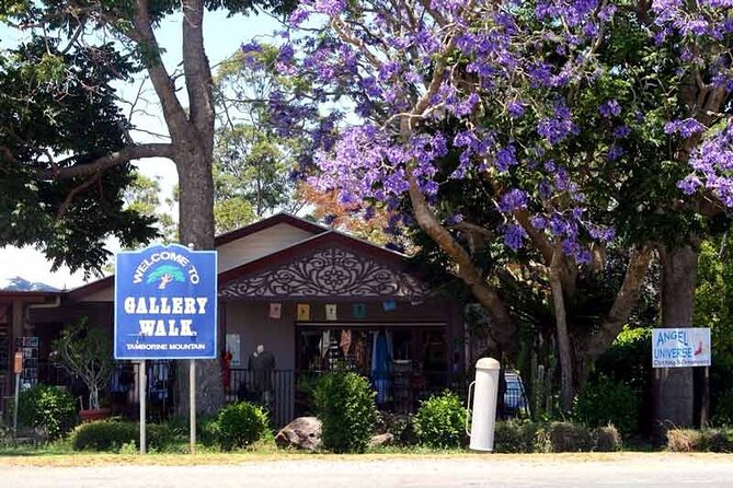 Mount Tamborine Hop on Hop off Bus from Brisbane - Key highlights that matter