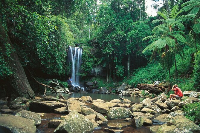 Mount Tamborine Hop on Hop off Bus from Brisbane - From Brisbane to Tamborine: what you’re really signing up for