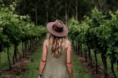 Mount Tamborine Hop on Hop off Bus from Brisbane - Price and timing: value for an 8-hour day
