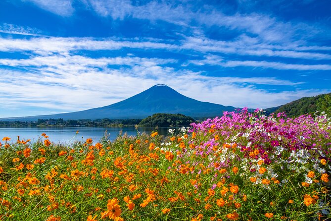 Mt. Fuji and Hakone 1 Day Bus Tour + Kimono Experience - Oishi Park: where the flowers do the talking