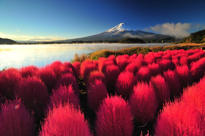 Mt. Fuji and Hakone 1 Day Bus Tour + Kimono Experience - Owakudani Valley: volcano energy in a controlled time slot