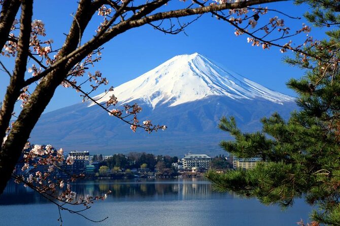 Mt Fuji and Hakone 1-Day Bus Tour Return by Bullet Train - Morning Start and the Real Timing Behind an ~11-Hour Day
