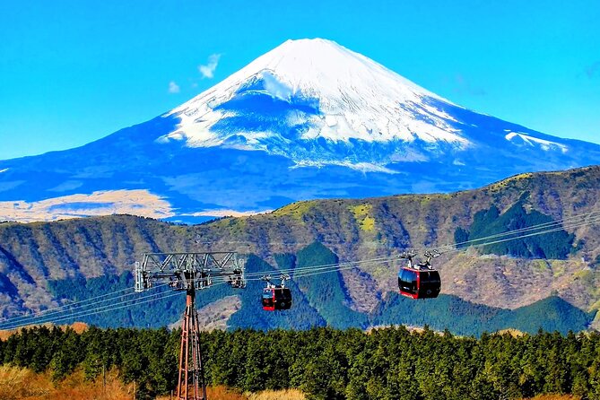 Mt Fuji and Hakone 1-Day Bus Tour Return by Bus - Lunch at the Foot of Fuji: Included If You Select It