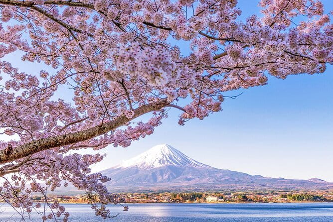 Mt. Fuji and Lake Kawaguchi Scenic 1-Day Bus Tour From Tokyo - Why this Mt. Fuji day trip works better than DIY