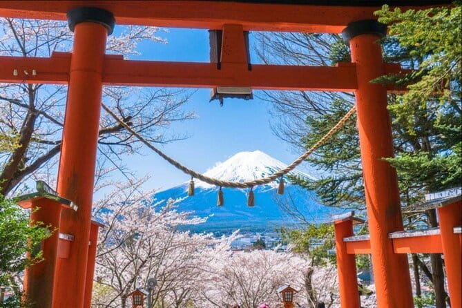 Mt. Fuji and Lake Kawaguchi Scenic 1-Day Bus Tour From Tokyo - Arakurayama Sengen Park: the Fuji panorama with four-season drama