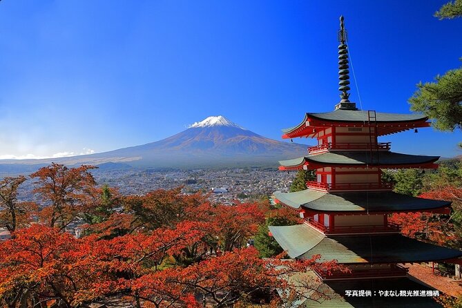 Mt. Fuji, Oishi Park & Arakurayama Pagoda Bus Tour with Lunch - Price and what you’re really paying for