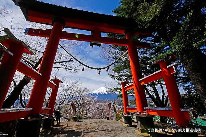 Mt. Fuji, Oishi Park & Arakurayama Pagoda Bus Tour with Lunch - Oishi Park: the classic Mt. Fuji-over-water moment