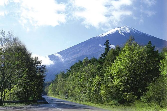 Mt. Fuji, Oishi Park & Arakurayama Pagoda Bus Tour with Lunch - Arakurayama Sengen Park and Chureito Pagoda: the steps are the price