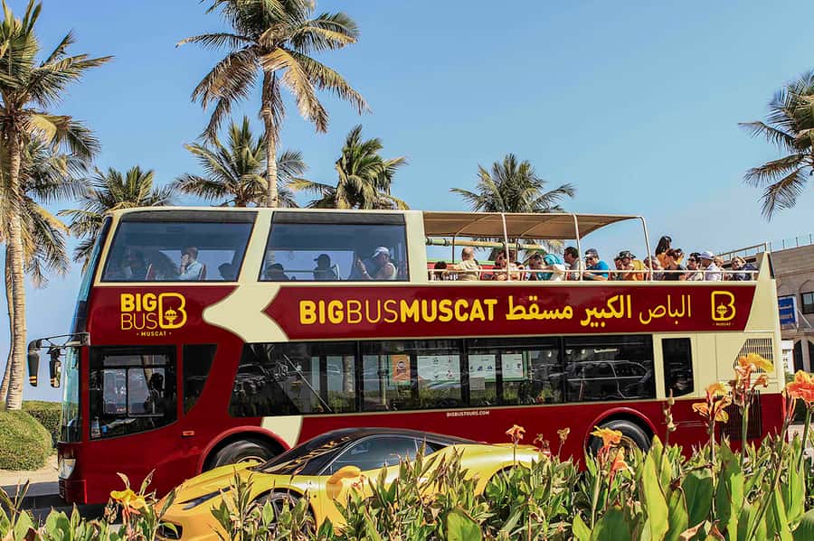 Muscat: Big Bus Hop-On Hop-Off Sightseeing Tour - Getting Oriented in Muscat: The Real Power of Hop-On, Hop-Off