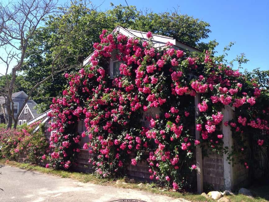 Nantucket: Historical Landmarks Sightseeing Bus Tour - Key highlights worth your attention