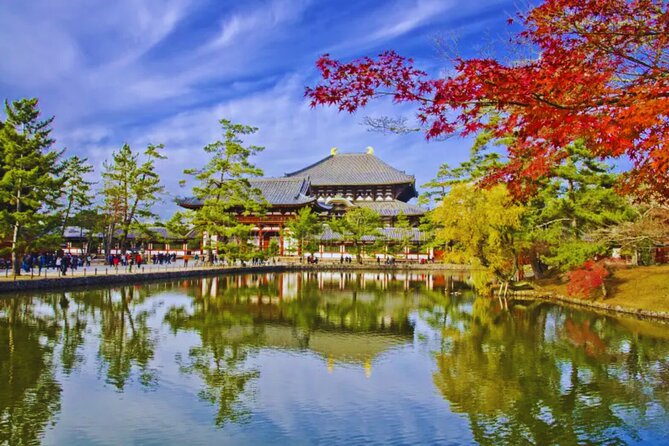 Nara, Todaiji Temple & Kuroshio Market Day BUS Tour from Osaka - Kuroshio Market and Tuna Dismantling: The Food-Lover’s Time Block