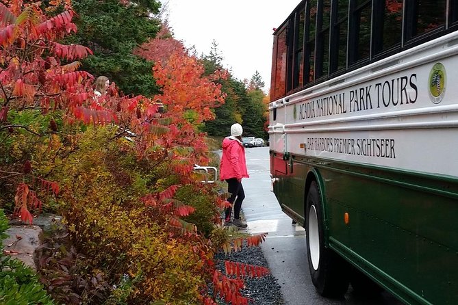 Narrated Bus Tour of Bar Harbor and Acadia National Park - Cadillac Mountain summit in 20 minutes: what you can realistically do